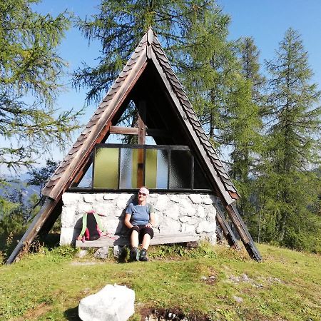 Ferienwohnung Schmaranzer Гозау Екстер'єр фото