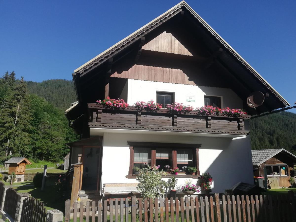 Ferienwohnung Schmaranzer Гозау Екстер'єр фото