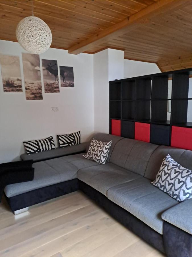 Ferienwohnung Schmaranzer Гозау Екстер'єр фото