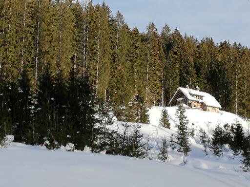 Ferienwohnung Schmaranzer Гозау Екстер'єр фото