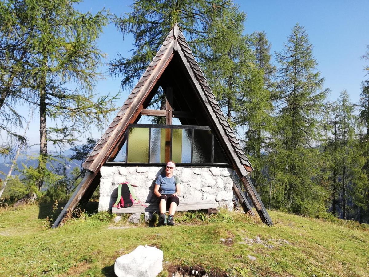 Ferienwohnung Schmaranzer Гозау Екстер'єр фото