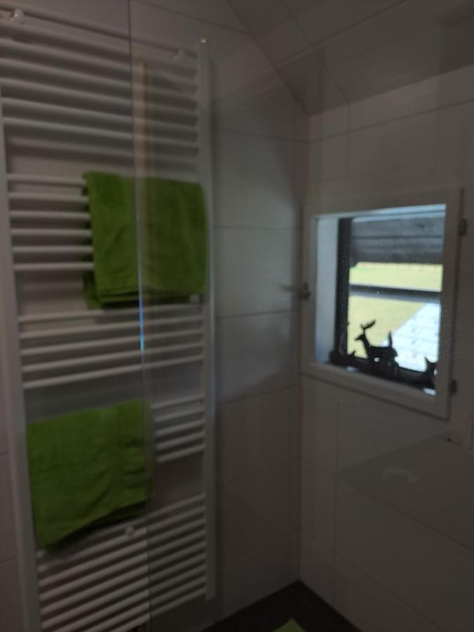 Ferienwohnung Schmaranzer Гозау Екстер'єр фото